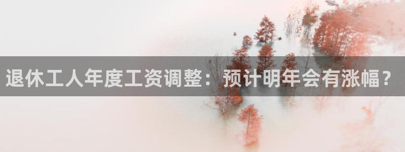 杏悦体育平台总代理：退休工人年度工资调整：预计明年会有涨幅？