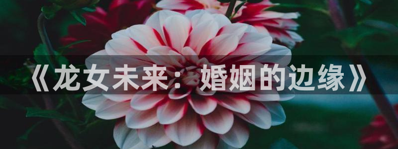 杏悦体育3：《龙女未来：婚姻的边缘》