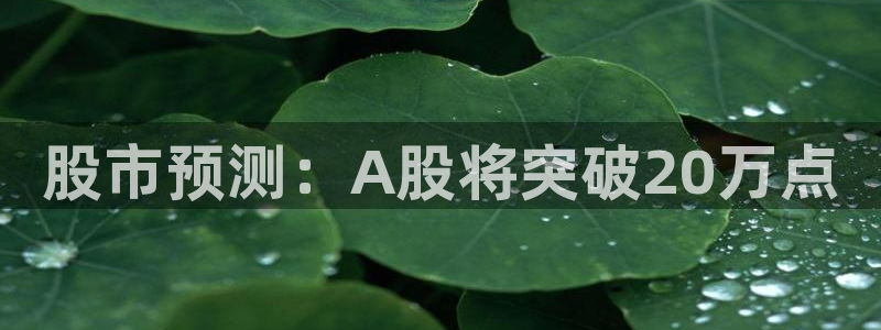 杏悦vk：股市预测：A股将突破20万点