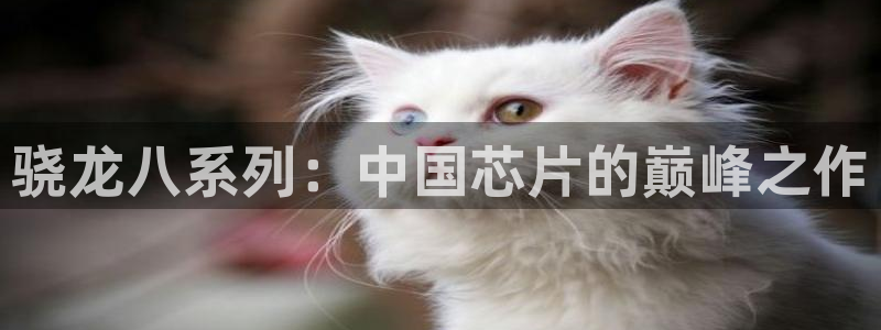 杏悦2注册：骁龙八系列：中国芯片的巅峰之作