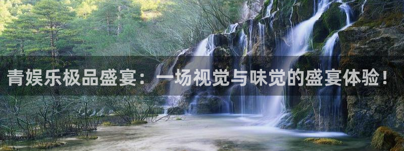 杏悦体育凯捷平台主管：青娱乐极品盛宴：一场视觉与味觉的盛宴体验！