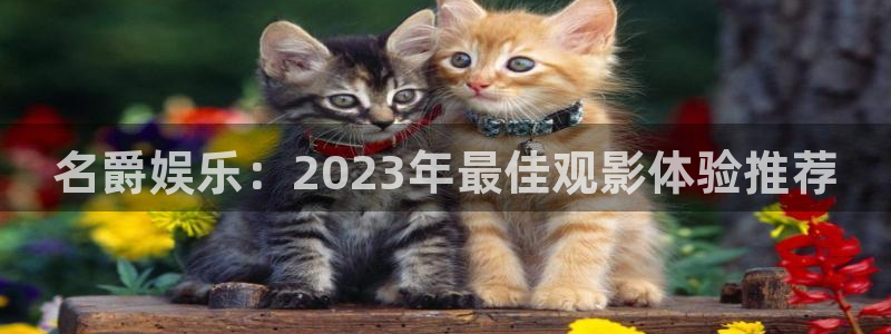 杏悦3注册：名爵娱乐：2023年最佳观影体验推荐