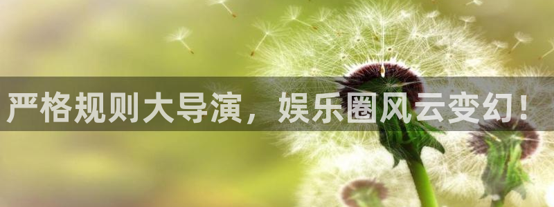 杏悦招商：严格规则大导演，娱乐圈风云变幻！