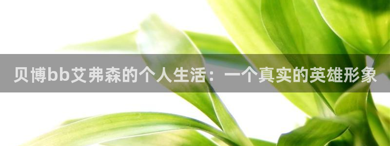 杏悦体育合法嘛：贝博bb艾弗森的个人生活：一个真实的英雄形象