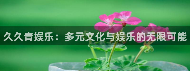 杏悦2平台注册：久久青娱乐：多元文化与娱乐的无限可能