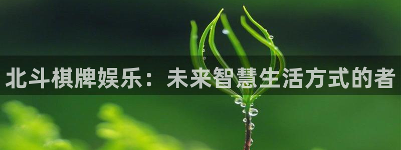 杏悦5：北斗棋牌娱乐：未来智慧生活方式的者