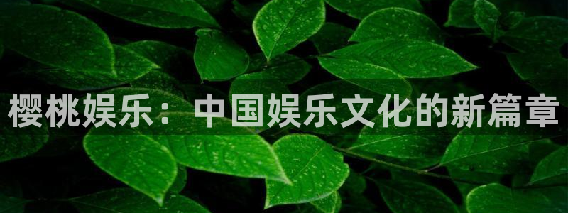 杏悦平台招商：樱桃娱乐：中国娱乐文化的新篇章