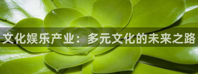 杏悦3：文化娱乐产业：多元文化的未来之路