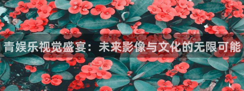 杏悦2登录入口：青娱乐视觉盛宴：未来影像与文化的无限可能
