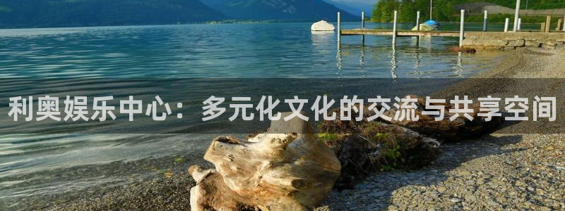 杏悦2注册：利奥娱乐中心：多元化文化的交流与共享空间
