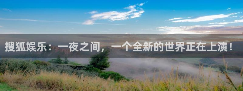 杏悦：搜狐娱乐：一夜之间，一个全新的世界正在上演！