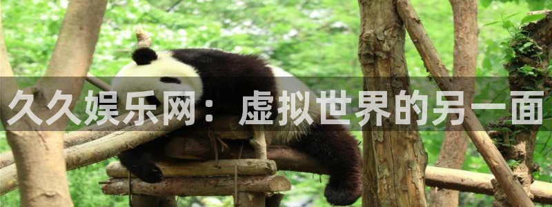 杏悦游戏有哪些好玩的：久久娱乐网：虚拟世界的另一面