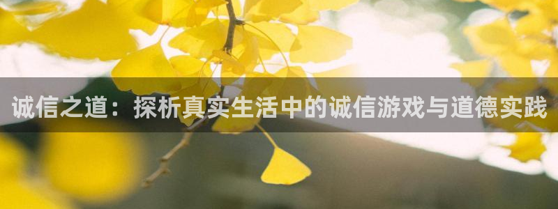 杏悦体育代理申请流程：诚信之道：探析真实生活中的诚信游戏与道德实践