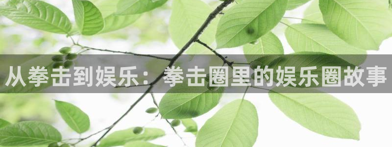 杏悦体育凯捷代理注册：从拳击到娱乐：拳击圈里的娱乐圈故事