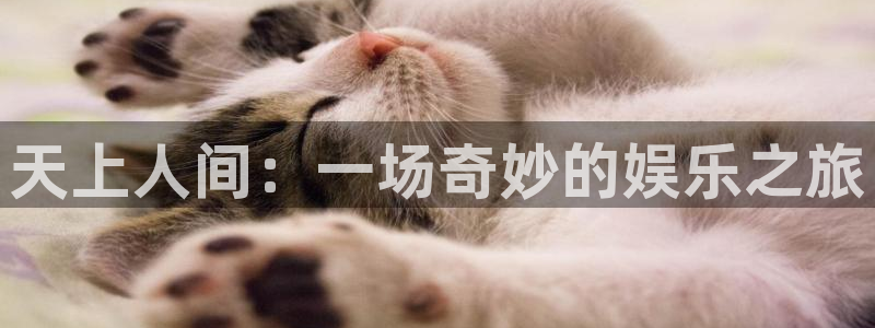 杏悦2体育登录入口：天上人间：一场奇妙的娱乐之旅