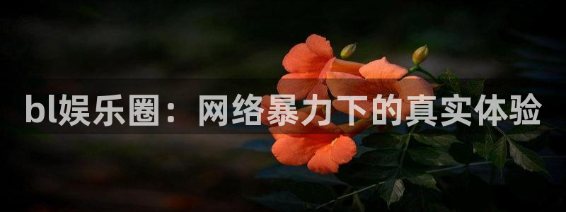 上海杏悦汽车电子有限公司：bl娱乐圈：网络暴力下的真实体验