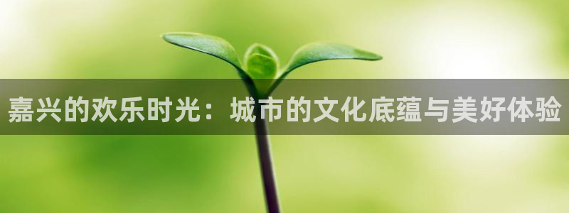 杏悦平台主管：嘉兴的欢乐时光：城市的文化底蕴与美好体验