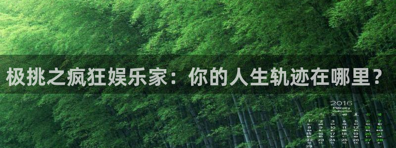 杏悦4开户：极挑之疯狂娱乐家：你的人生轨迹在哪里？