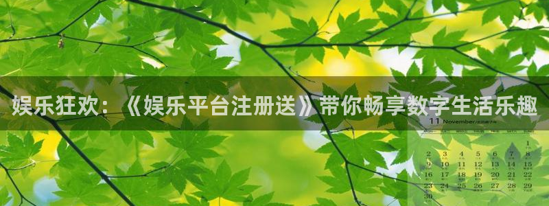 杏悦平台招商：娱乐狂欢：《娱乐平台注册送》带你畅享数字生活乐趣