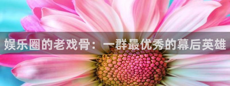 杏悦体育免费注册入口：娱乐圈的老戏骨：一群最优秀的幕后英雄