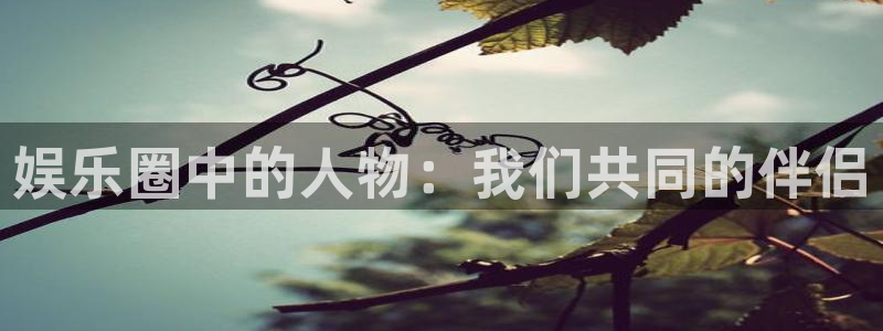 杏悦4：娱乐圈中的人物：我们共同的伴侣