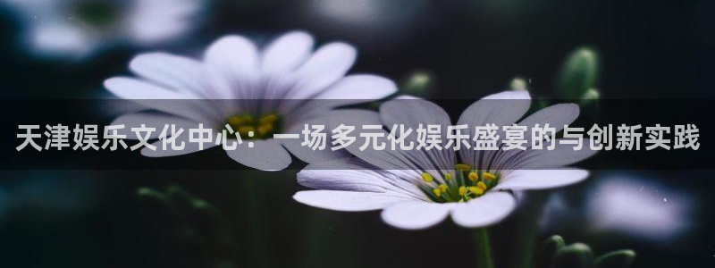 杏悦3登陆：天津娱乐文化中心：一场多元化娱乐盛宴的与创新实践