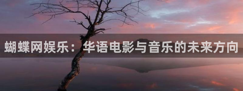 杏悦招商：蝴蝶网娱乐：华语电影与音乐的未来方向