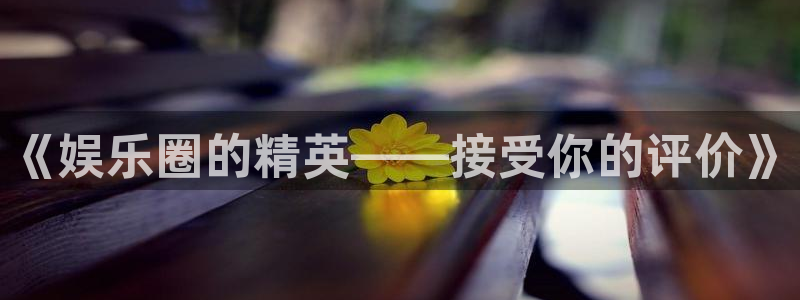 杏悦体育凯捷登陆：《娱乐圈的精英——接受你的评价》