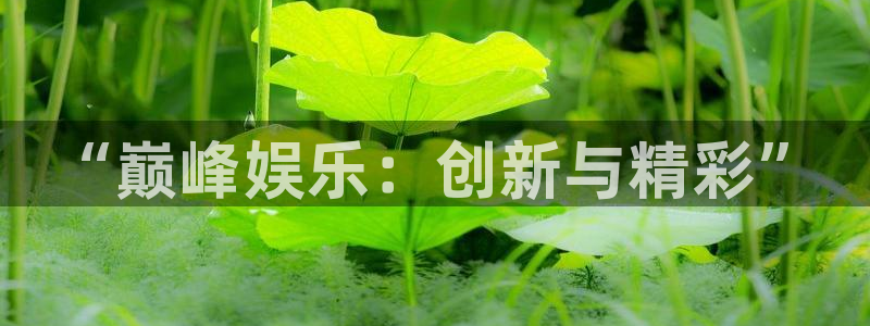 杏悦2体育：“巅峰娱乐：创新与精彩”