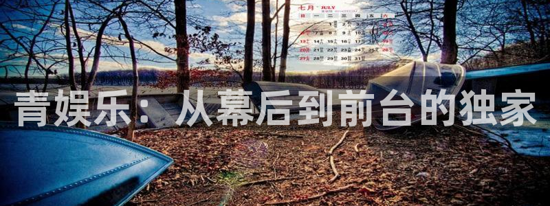 成都杏悦电子有限公司：青娱乐：从幕后到前台的独家