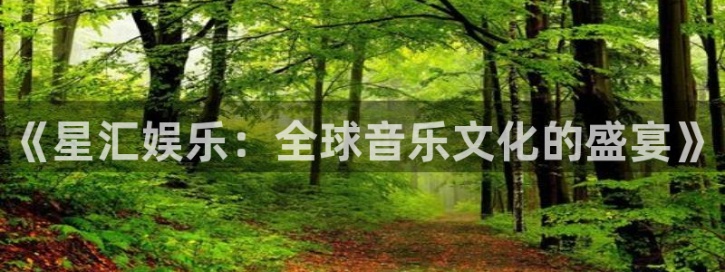 杏悦体育官网登录：《星汇娱乐：全球音乐文化的盛宴》