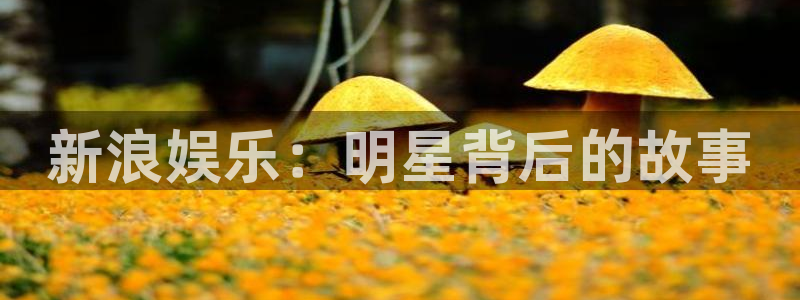 杏悦平台招商：新浪娱乐：明星背后的故事