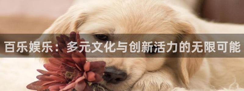 杏悦体育凯捷平台主管：百乐娱乐：多元文化与创新活力的无限可能
